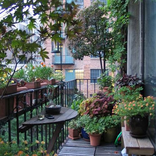 jungle urbaine aménagement balcon fer forgé