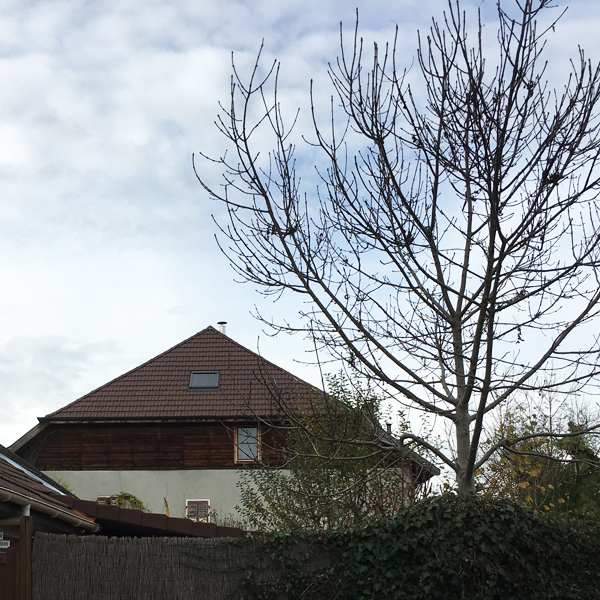 Projet 31 Carnot