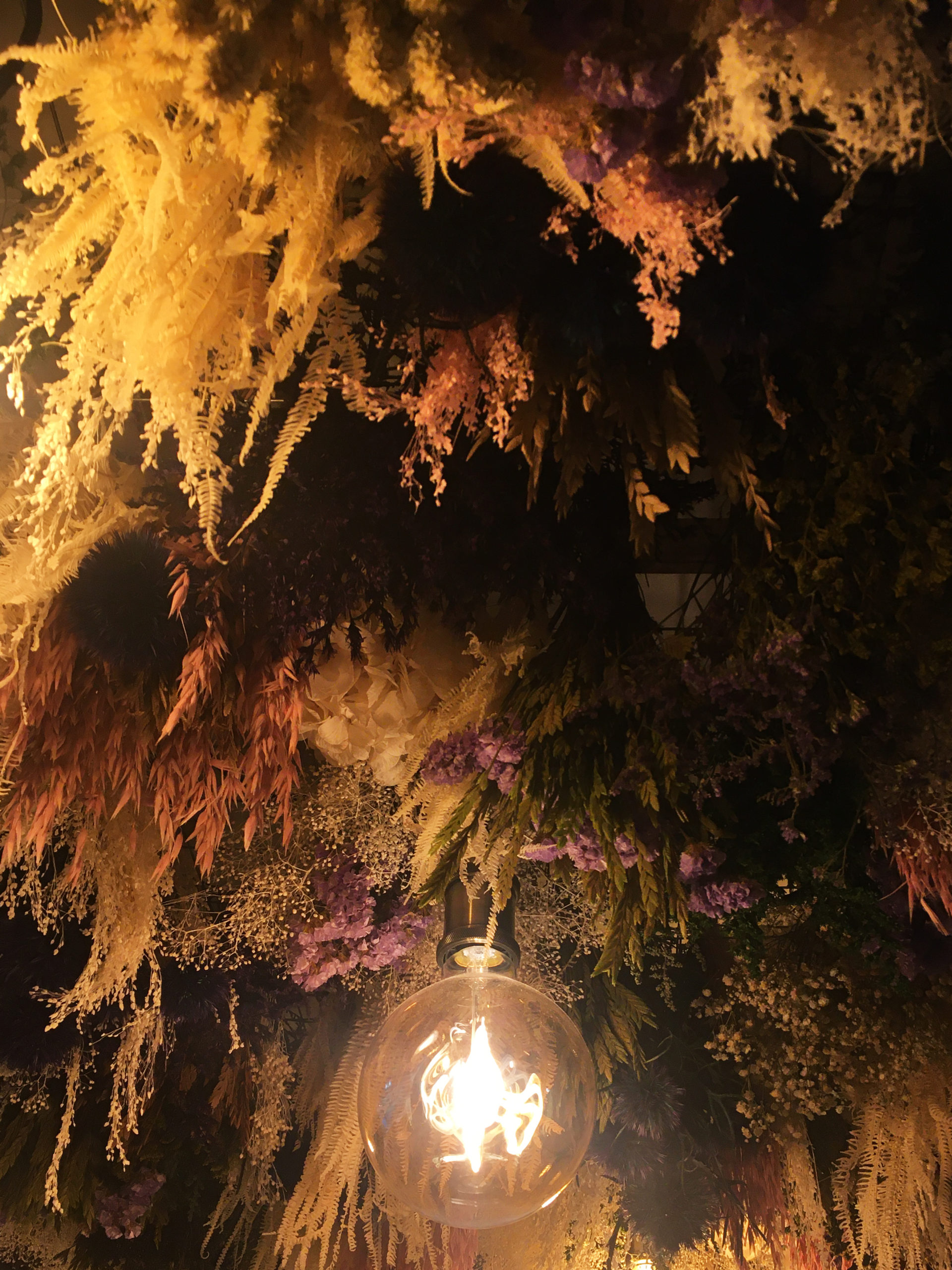 noesis-spa-renovation-annecy-beauté-fleurs-séchés